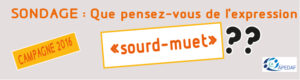 Lire la suite à propos de l’article Que pensez-vous de l’expression Sourd-Muet ?