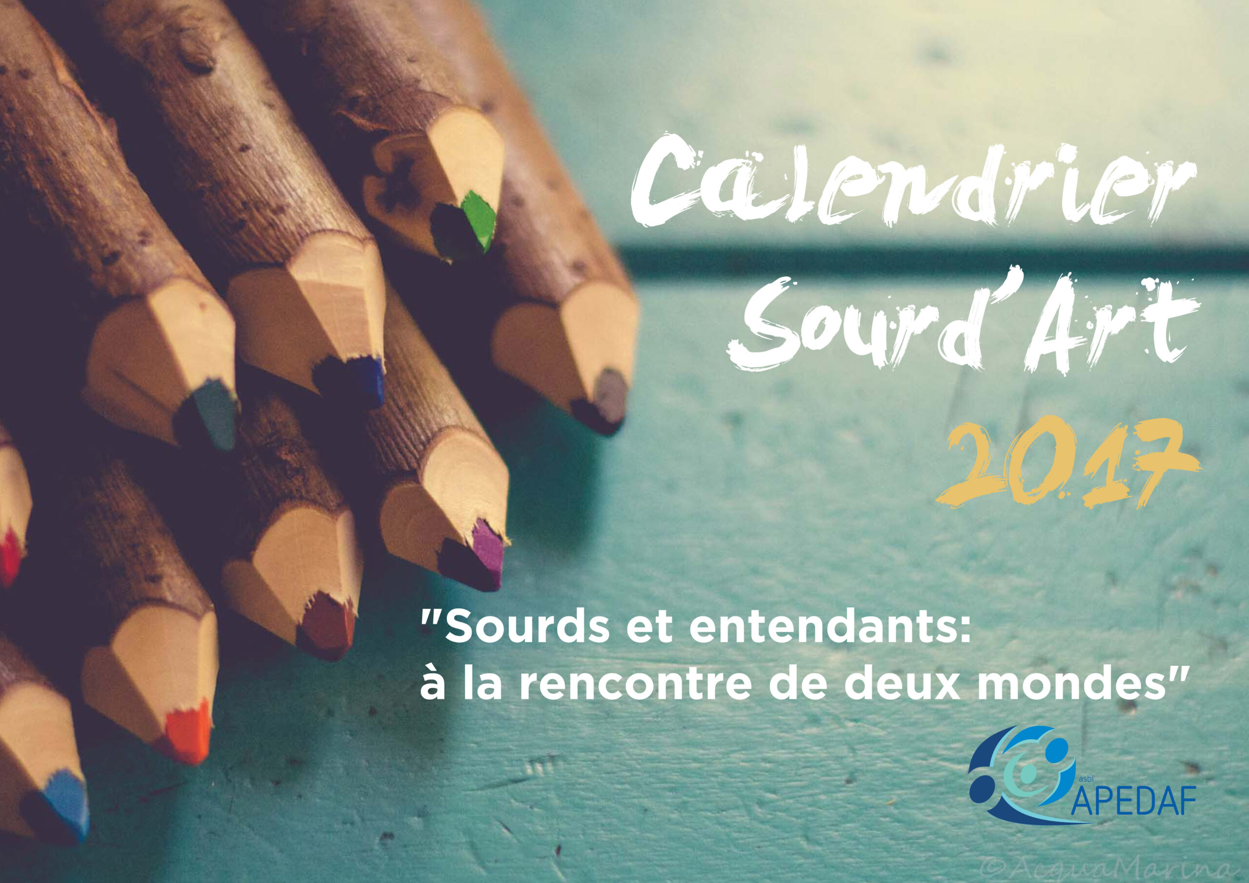 Lire la suite à propos de l’article Calendrier 2017